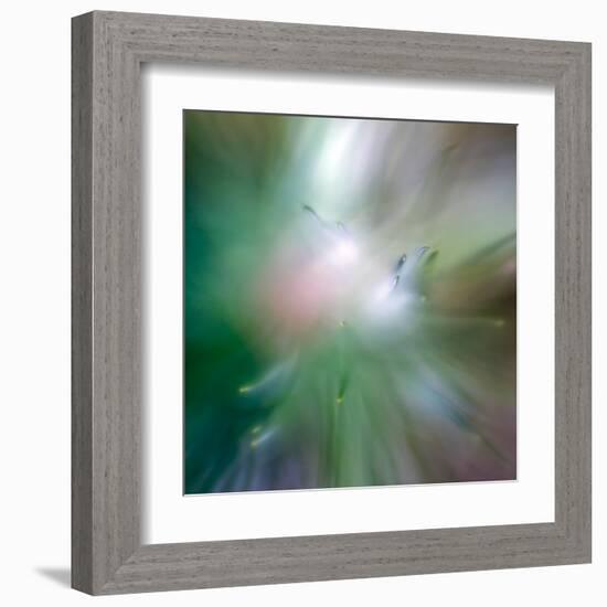 Pine Needles 6-Ursula Abresch-Framed Premium Photographic Print