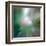 Pine Needles 6-Ursula Abresch-Framed Premium Photographic Print