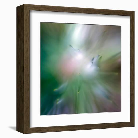 Pine Needles 6-Ursula Abresch-Framed Premium Photographic Print