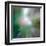 Pine Needles 6-Ursula Abresch-Framed Premium Photographic Print