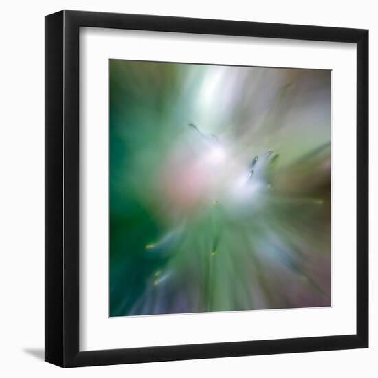 Pine Needles 6-Ursula Abresch-Framed Premium Photographic Print