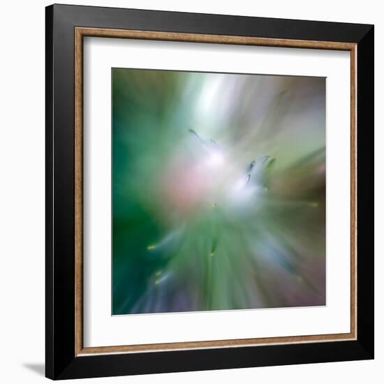 Pine Needles 6-Ursula Abresch-Framed Premium Photographic Print