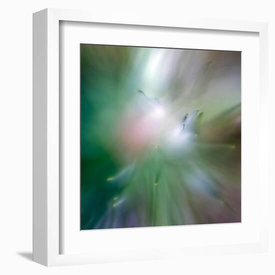 Pine Needles 6-Ursula Abresch-Framed Premium Photographic Print