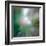 Pine Needles 6-Ursula Abresch-Framed Premium Photographic Print