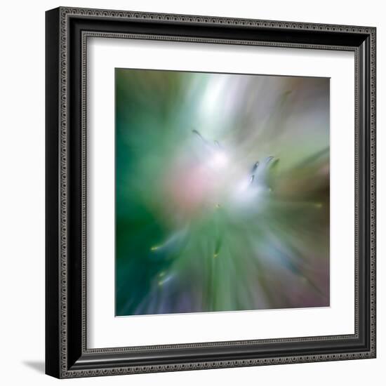 Pine Needles 6-Ursula Abresch-Framed Premium Photographic Print