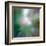 Pine Needles 6-Ursula Abresch-Framed Premium Photographic Print