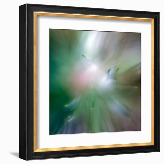 Pine Needles 6-Ursula Abresch-Framed Premium Photographic Print