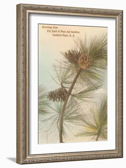 Pine Needles and Cones, Southern Pines, North Carolina-null-Framed Art Print