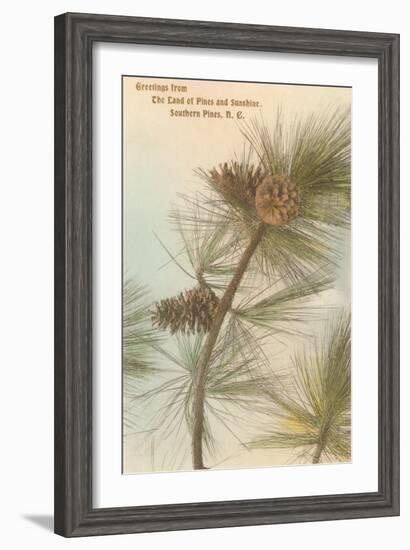 Pine Needles and Cones, Southern Pines, North Carolina-null-Framed Art Print