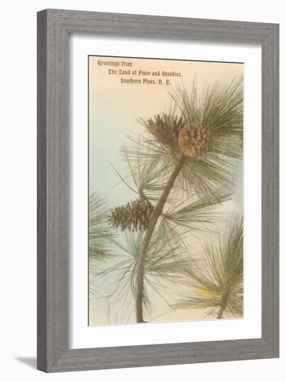Pine Needles and Cones, Southern Pines, North Carolina-null-Framed Art Print