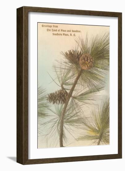 Pine Needles and Cones, Southern Pines, North Carolina-null-Framed Art Print