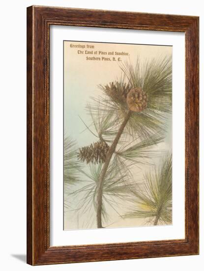 Pine Needles and Cones, Southern Pines, North Carolina-null-Framed Art Print