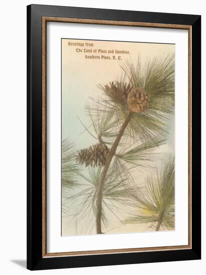 Pine Needles and Cones, Southern Pines, North Carolina-null-Framed Art Print