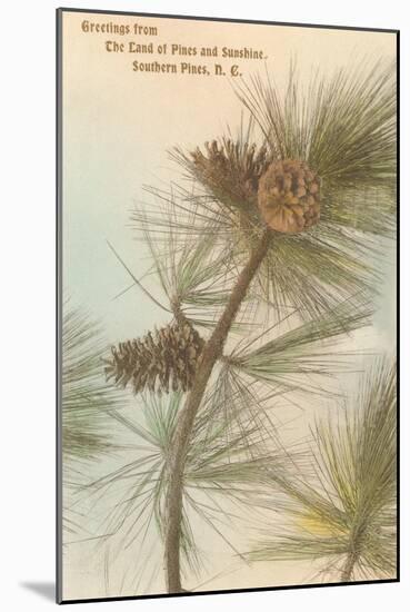 Pine Needles and Cones, Southern Pines, North Carolina-null-Mounted Art Print