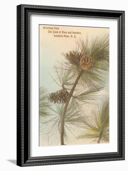 Pine Needles and Cones, Southern Pines, North Carolina-null-Framed Art Print