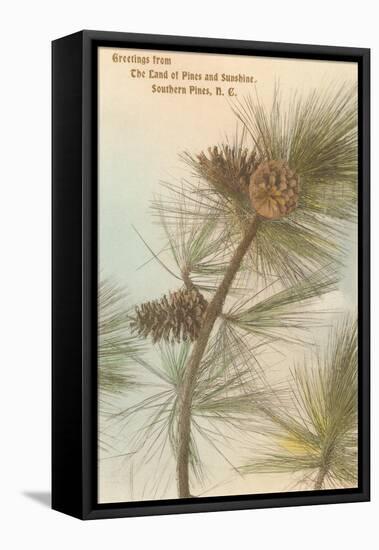 Pine Needles and Cones, Southern Pines, North Carolina-null-Framed Stretched Canvas