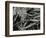 Pine Needles and Water, 1967-Brett Weston-Framed Photographic Print