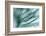 Pine Needles in Rain-Ursula Abresch-Framed Photographic Print