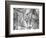 Pine Needles, Oregon, 1972-Brett Weston-Framed Photographic Print