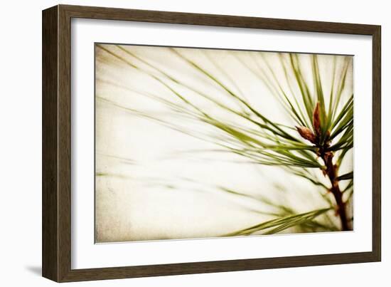 Pine Needles-Jessica Rogers-Framed Giclee Print