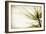 Pine Needles-Jessica Rogers-Framed Giclee Print