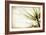 Pine Needles-Jessica Rogers-Framed Giclee Print