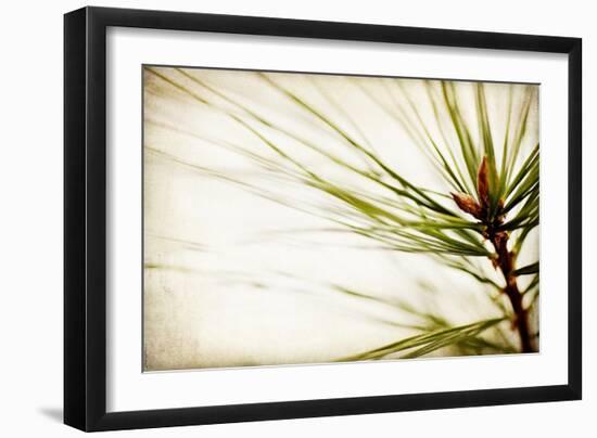 Pine Needles-Jessica Rogers-Framed Giclee Print