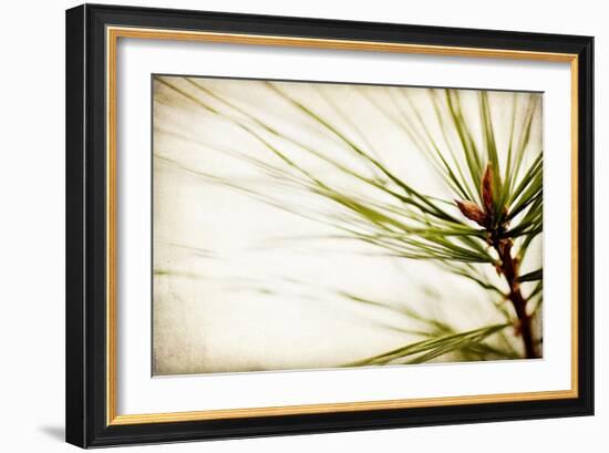 Pine Needles-Jessica Rogers-Framed Giclee Print