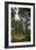 Pine Path Vertical-Robert Goldwitz-Framed Photographic Print