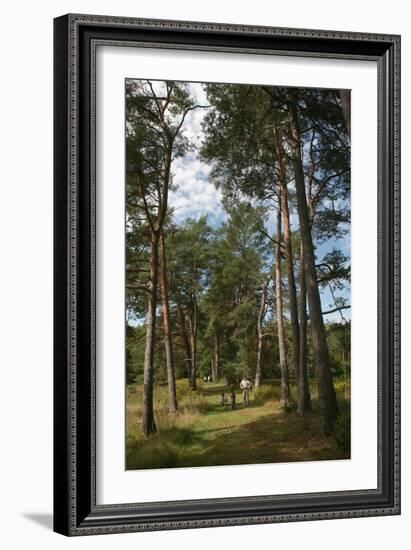 Pine Path Vertical-Robert Goldwitz-Framed Photographic Print