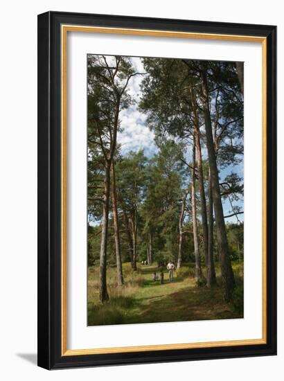 Pine Path Vertical-Robert Goldwitz-Framed Photographic Print