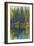 Pine Reflection I-Tim O'toole-Framed Art Print