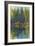 Pine Reflection I-Tim O'toole-Framed Art Print