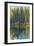 Pine Reflection I-Tim O'toole-Framed Art Print