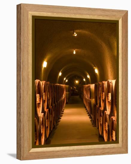 Pine Ridge Winery Cask Room, Yountville, Napa Valley, California-Walter Bibikow-Framed Premier Image Canvas