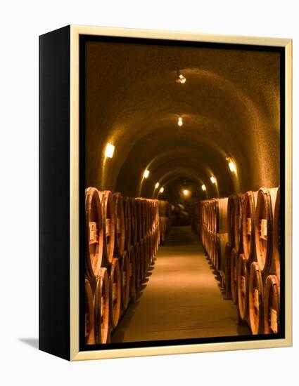 Pine Ridge Winery Cask Room, Yountville, Napa Valley, California-Walter Bibikow-Framed Premier Image Canvas