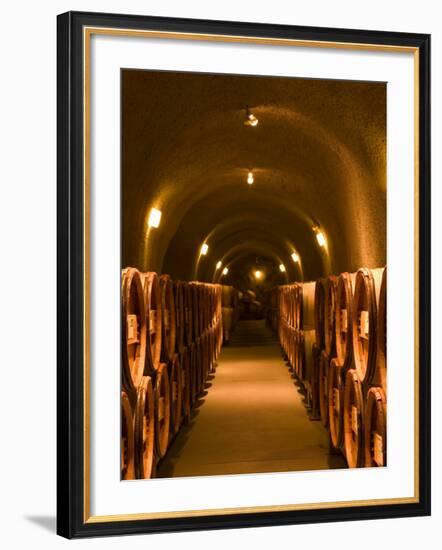 Pine Ridge Winery Cask Room, Yountville, Napa Valley, California-Walter Bibikow-Framed Photographic Print