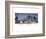 Pine Ridge-Ray Hendershot-Framed Art Print