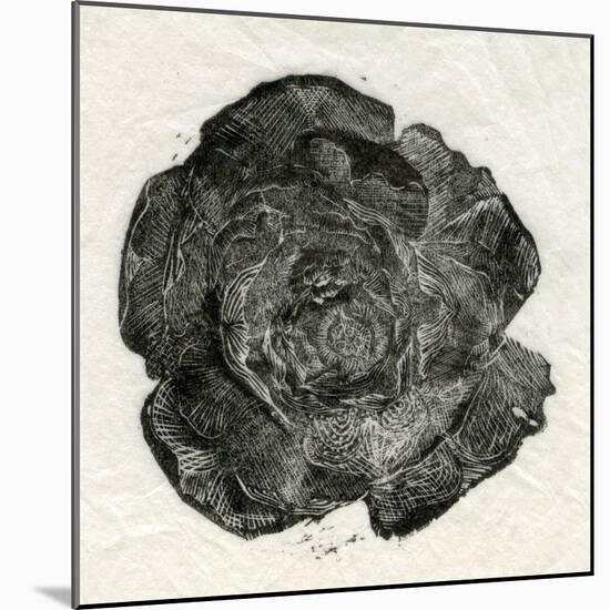 Pine Rose, 2014-Bella Larsson-Mounted Giclee Print