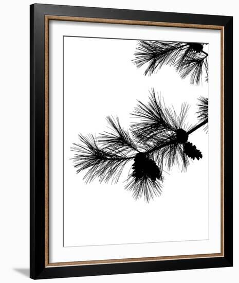 Pine Soliloquy I-Monika Burkhart-Framed Photo