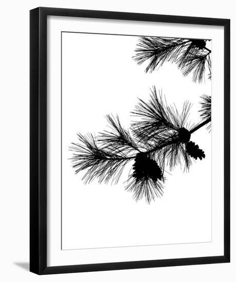 Pine Soliloquy I-Monika Burkhart-Framed Photo