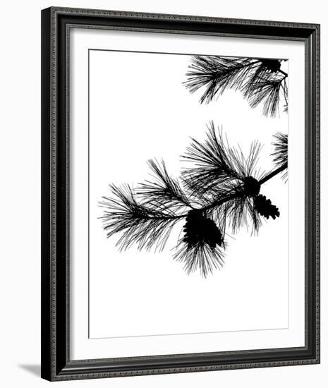 Pine Soliloquy I-Monika Burkhart-Framed Photo