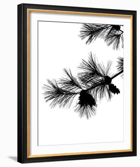 Pine Soliloquy I-Monika Burkhart-Framed Photo