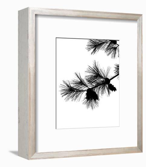 Pine Soliloquy I-Monika Burkhart-Framed Photo