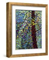 Pine Sprites-Mandy Budan-Framed Giclee Print