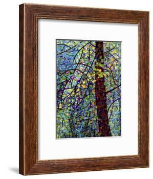 Pine Sprites-Mandy Budan-Framed Giclee Print