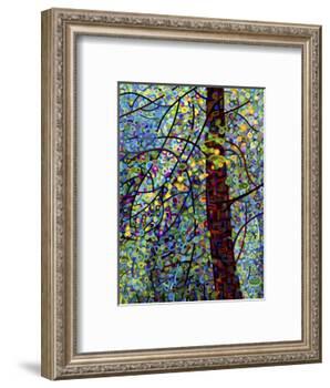 Pine Sprites-Mandy Budan-Framed Giclee Print