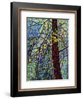 Pine Sprites-Mandy Budan-Framed Giclee Print