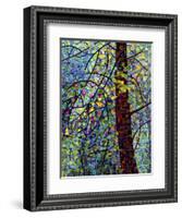 Pine Sprites-Mandy Budan-Framed Giclee Print