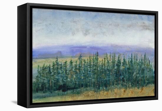 Pine Tops II-Tim OToole-Framed Stretched Canvas